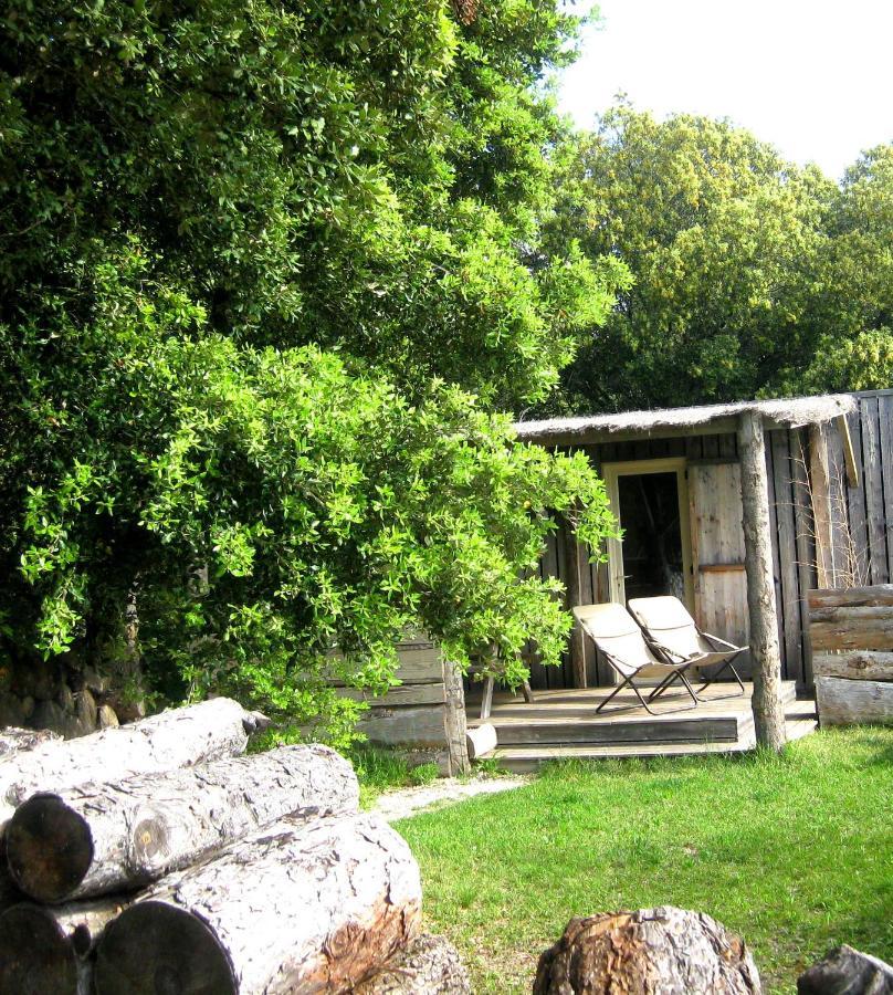Lodges En Provence - Ecogites & Restaurant Insolites Richerenches Exterior photo